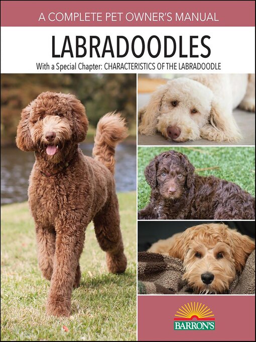 Cover image for Labradoodles